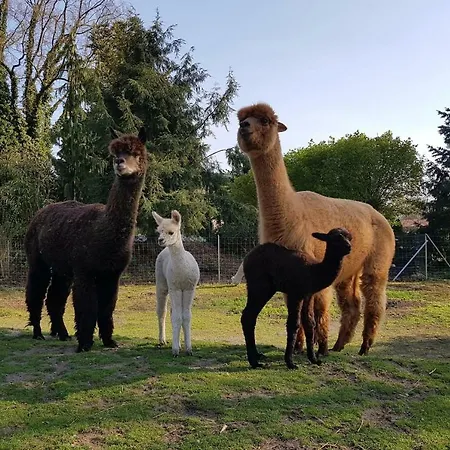 Apartament Mit Seeblick *