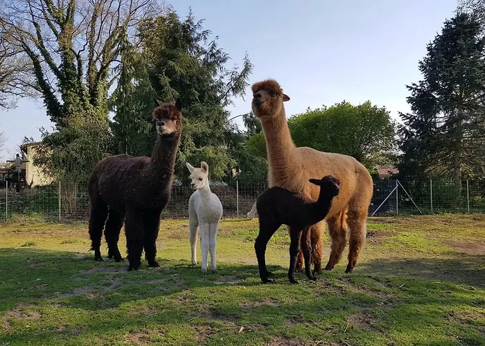 Lägenhet Mit Seeblick *